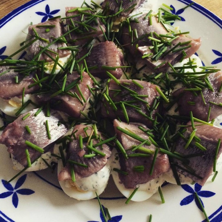 11855776_10153483020570993_971948932887484734_n