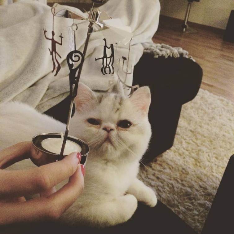 12391983_10153732163695993_6866711881203753292_n