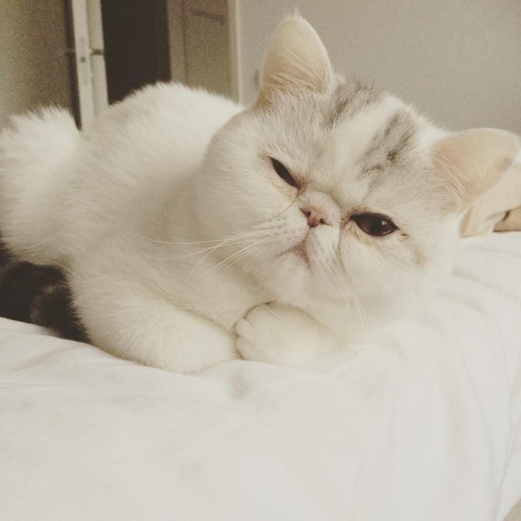 12662623_10153828007085993_4916097477555408319_n