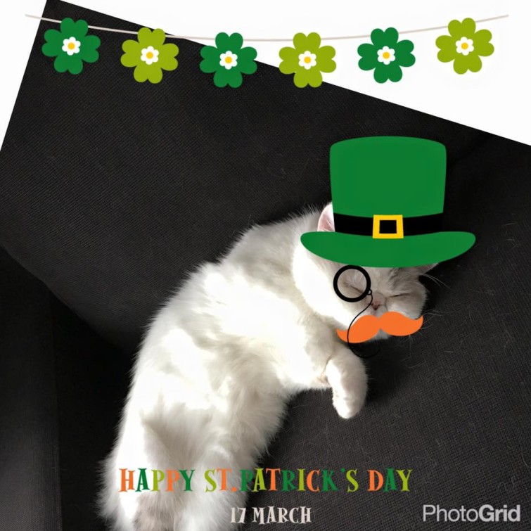 10592658_10153930656160993_3921199465019945992_n-2