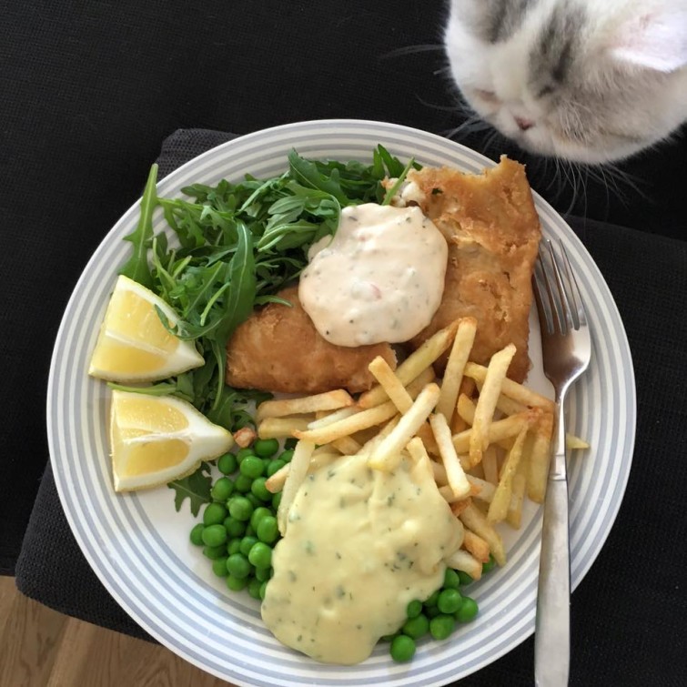 944091_10153925231320993_9074116004562951932_n