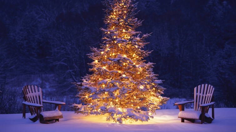 8774130-christmas-tree-wallpaper