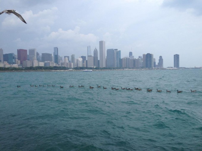 Utsikten fran Lake Shore Drive, Chicago skylight