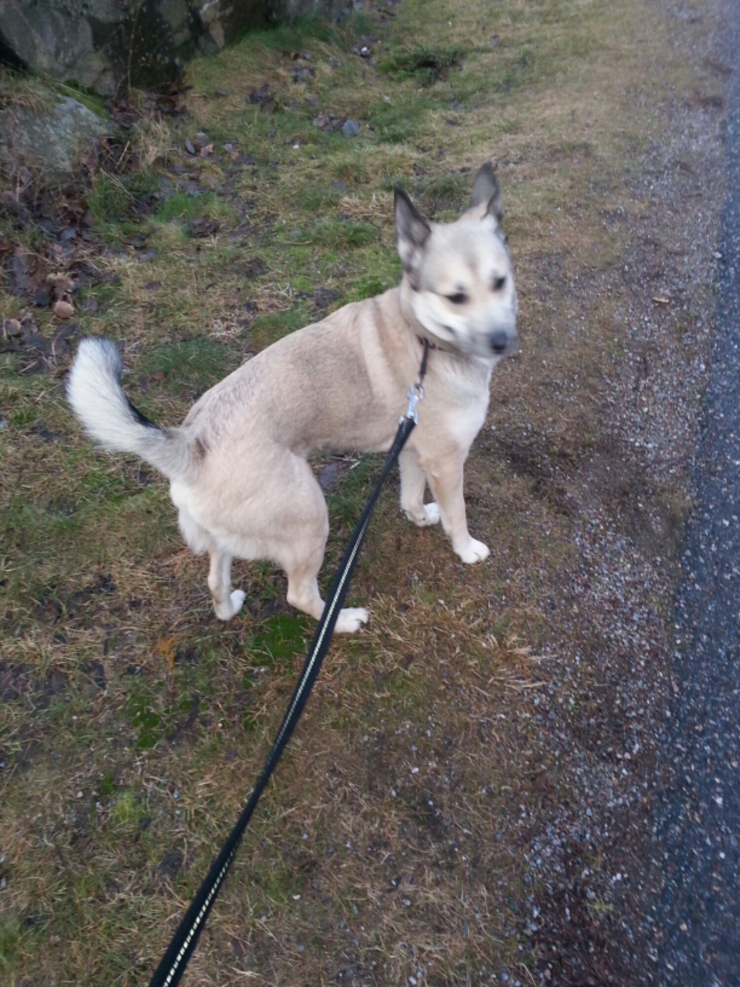 20140217_082004.jpg image