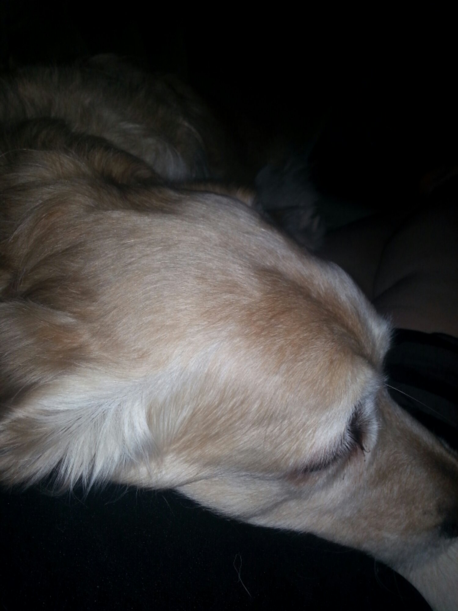 20140218_182455.jpg image