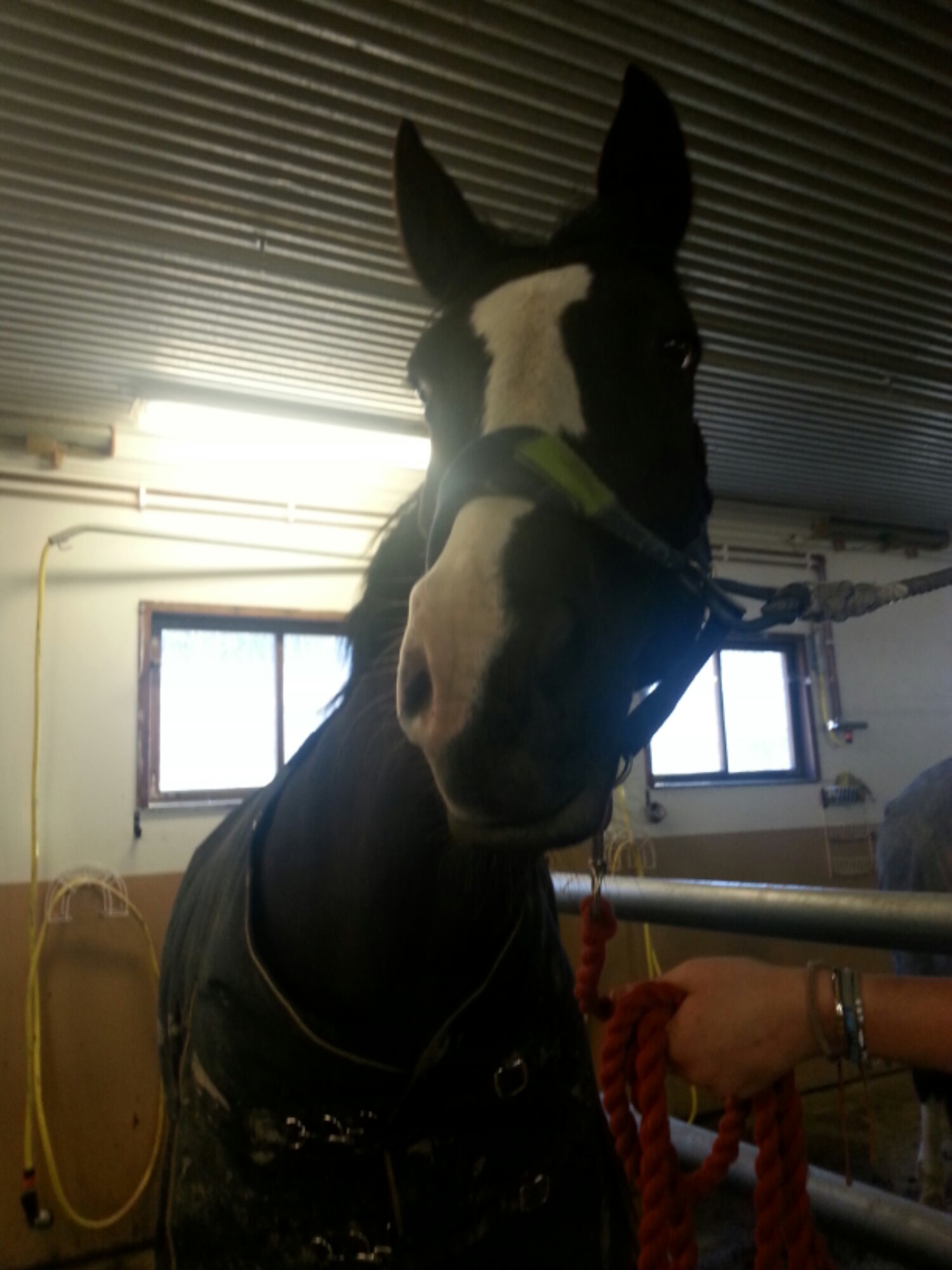 20140313_153150.jpg image