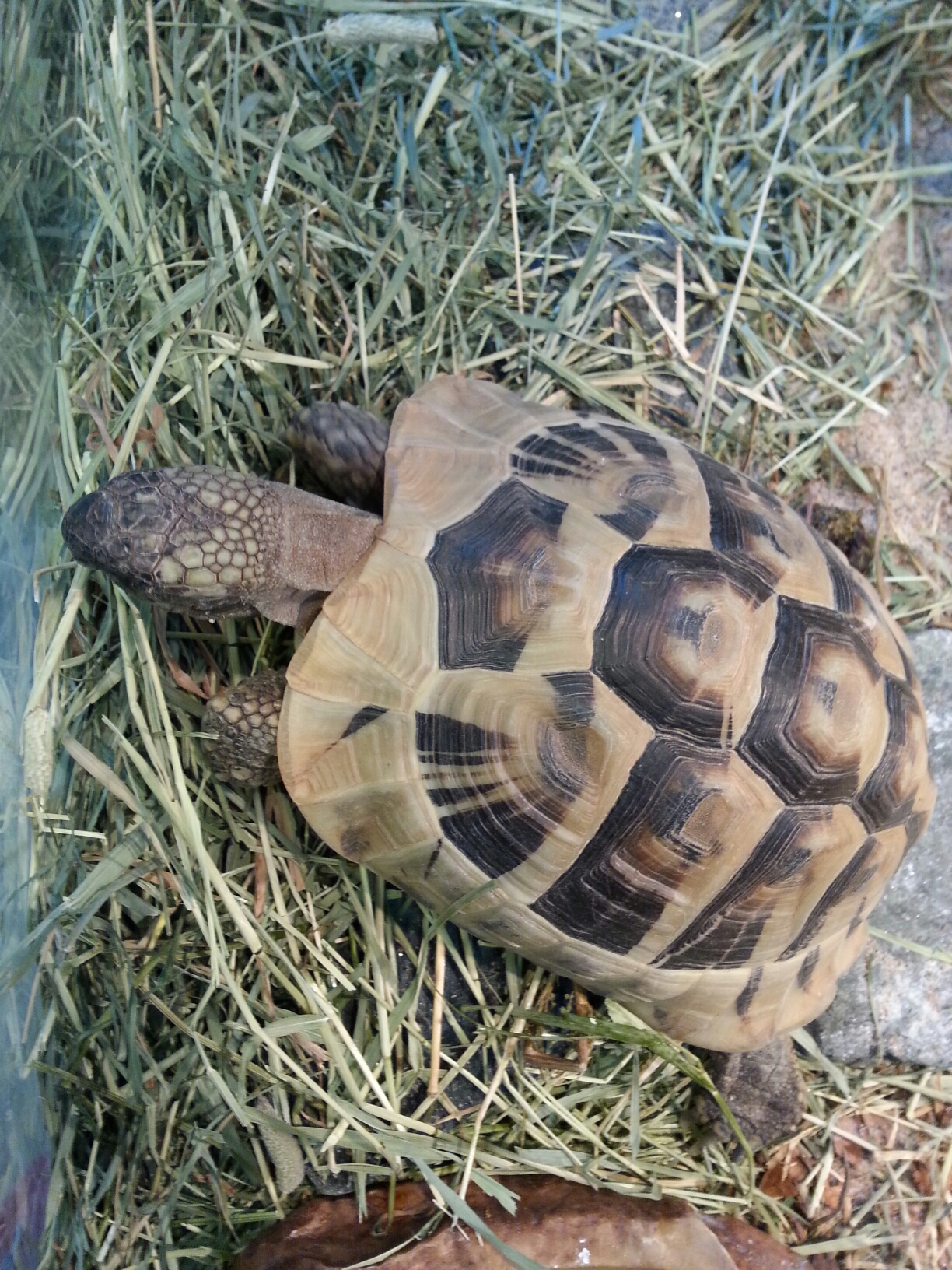 20140314_095525.jpg image