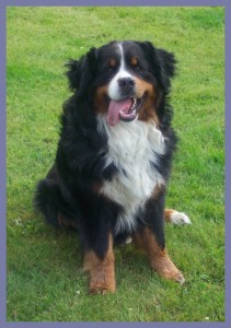 206636_1647865444049_1459339928_31229022_3562817_n