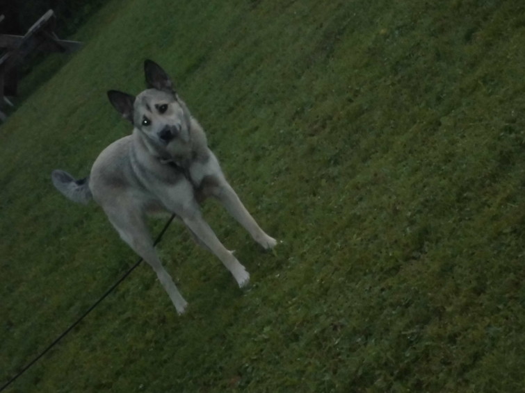 mina fina bilder från min kamra 011