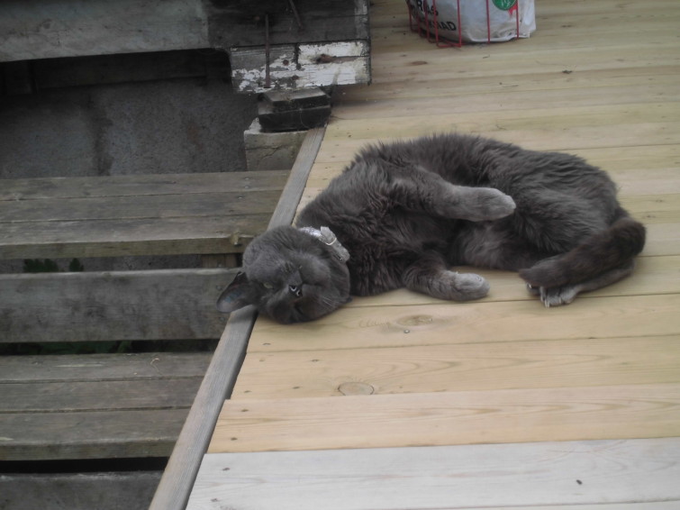 mina fina bilder från min kamra 014