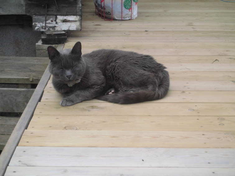 mina kamra bilder (307)