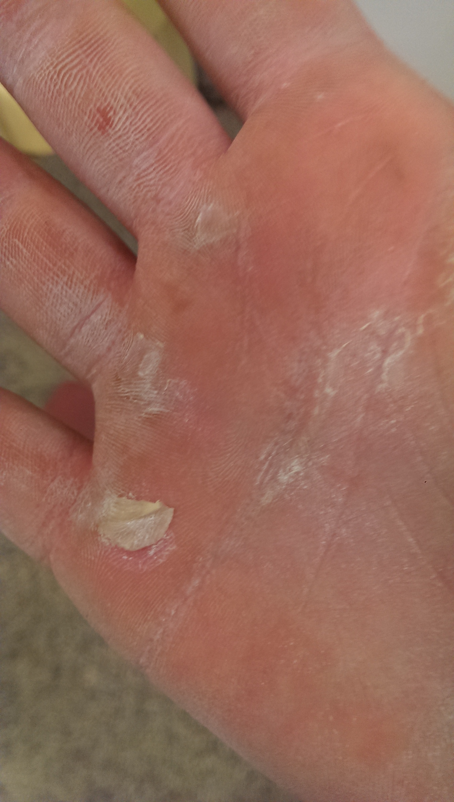 wp-1395743713497 image