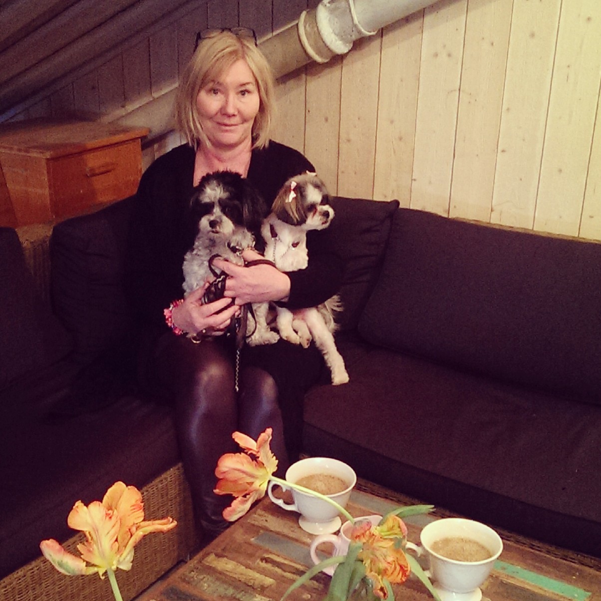 wp-1396037354692 image