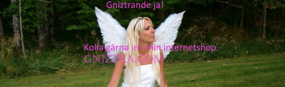 Gniztrande jag