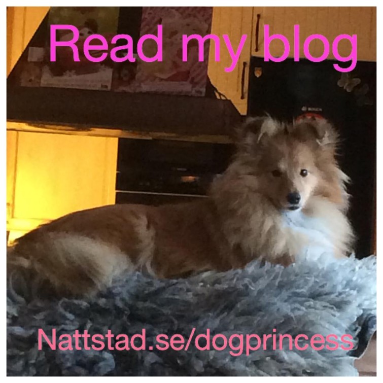 readmyblog