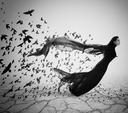 7582493016_f606e2fd3d_o