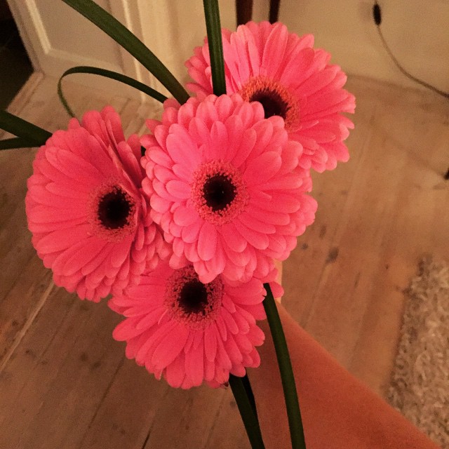 10896965_10152969787255801_5954065707399344975_n