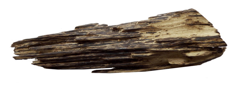 agarwood - 1 pc - 2-low res