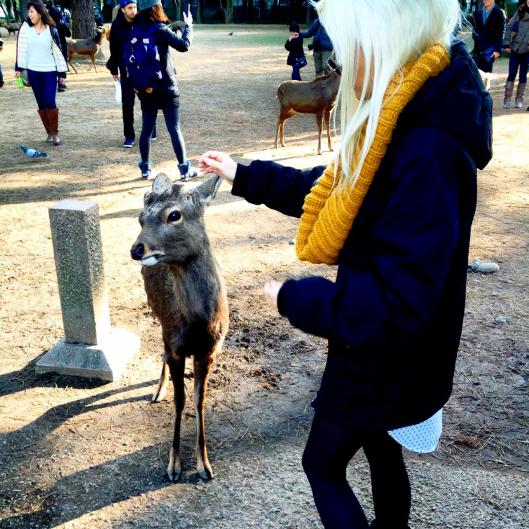 10906376_10152450958061504_482419220414658152_n