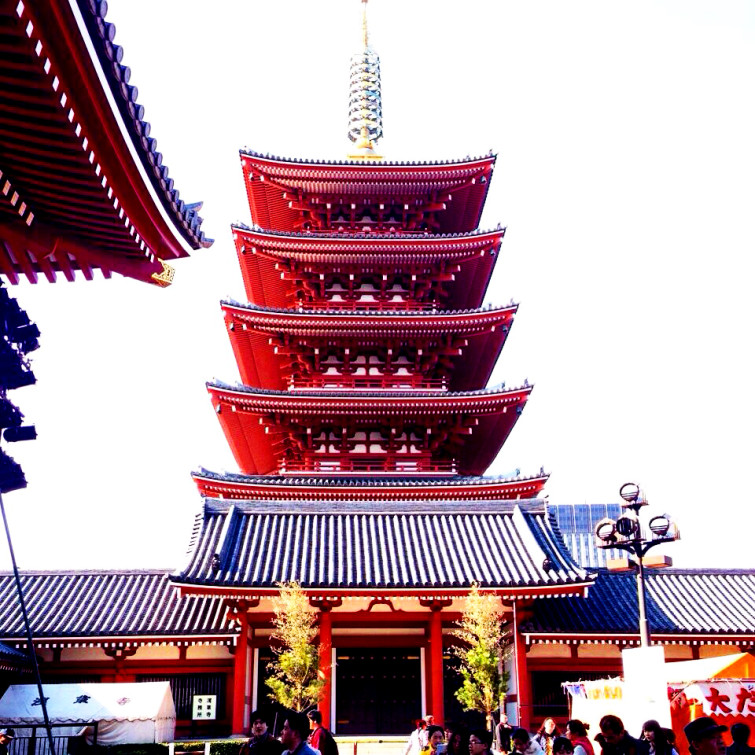 1618537_10152419823096504_6428063918869918483_n