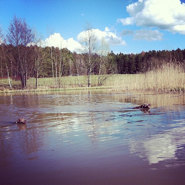 1646f41a911111e181bd12313817987b_7