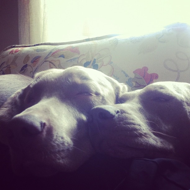 199ade808fd911e180c9123138016265_7