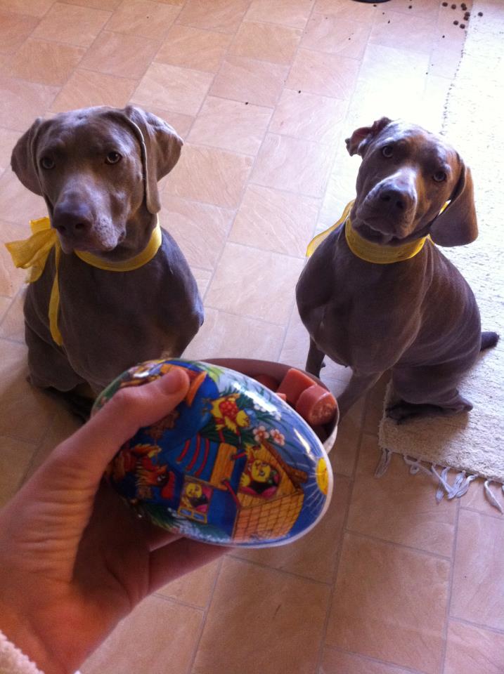 295234_10150785805590520_684910519_11741816_1325280042_n