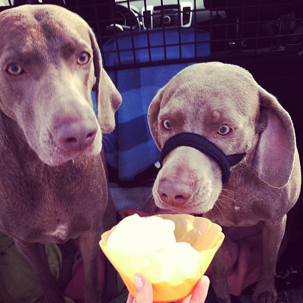 fdf8fc96911011e18cf91231380fd29b_7