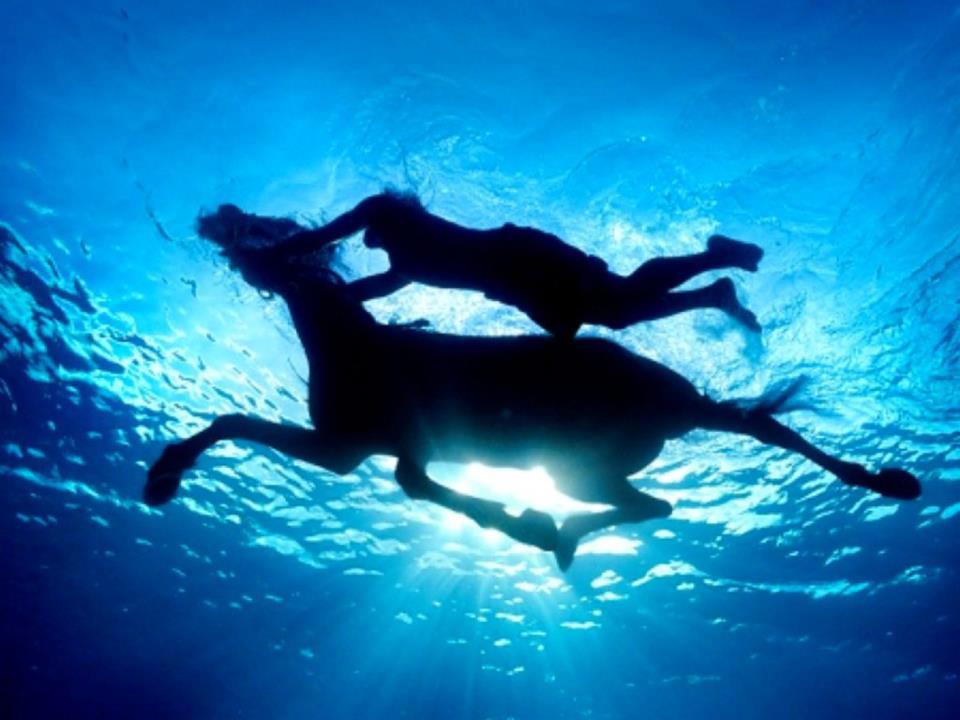 530470_344311248957256_132106233511093_907324_1430850501_n