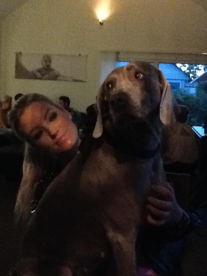 553528_10151020880045520_1950889039_n