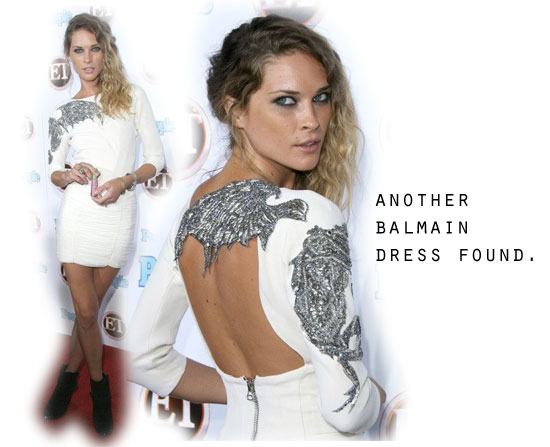 erin-wasson-entertainment-awards-balmain-dress-031208-3