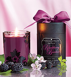 ws15_products_home_fragrances_candlemelts_forbidden_fruit_11