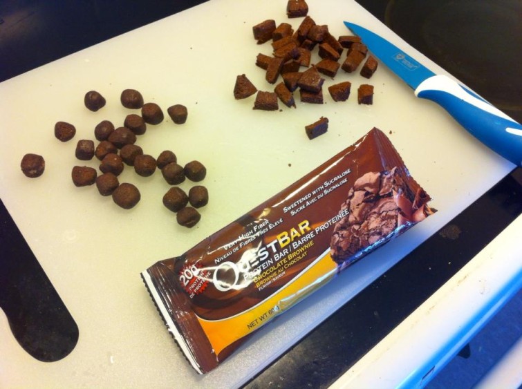 11156782_10204091685995559_523522298_n