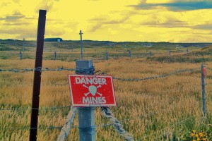 47779_a858045ced5a36e13a50a82b3d1f46d4_large