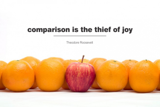 theodore-roosevelt(pp_w540_h361)