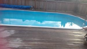 10514160_768082963214583_4310665109116558625_o