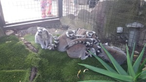 10548279_764387660250780_8887735016621155152_o