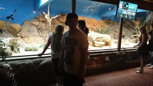 1941472_764387483584131_1030844593751646060_o