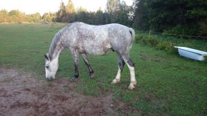 10353391_770440482978831_5187388096732426887_o