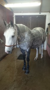 10372919_773072529382293_8591960088724019358_o