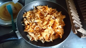 995072_781796601843219_4981719646930141768_n