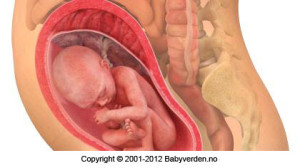 7048_781796551843224_5225783875266385351_n