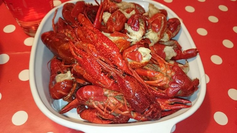 10690342_801864686503077_6784328532576731705_n