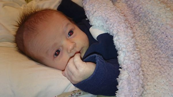 1908467_833134140042798_240020579885598425_n