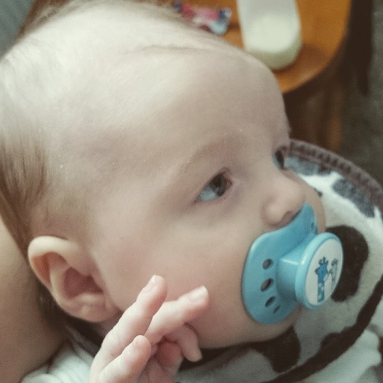 10801869_855807414442137_6072154841349466099_n