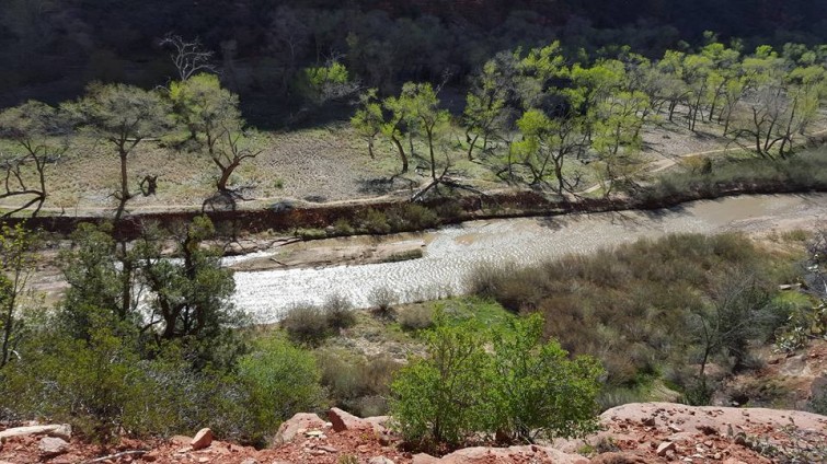 1001091_1056989610990582_3388827773200231393_n