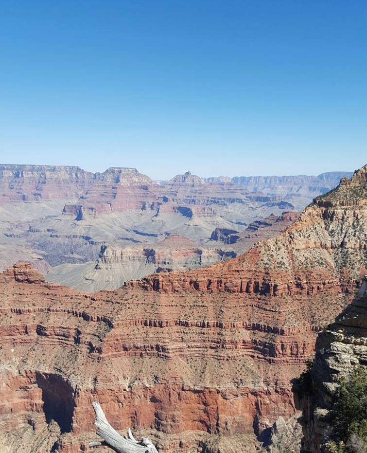 10155883_1053767307979479_6698648916055245060_n