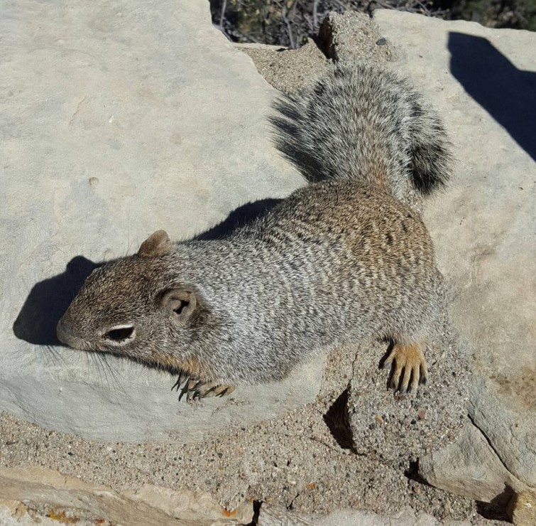 1779688_1053770257979184_768507827753301793_n