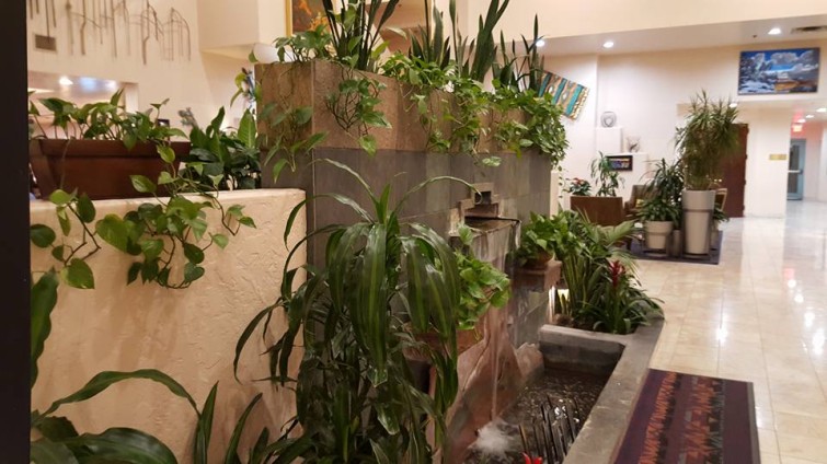 1934237_1053770304645846_2642983399340450601_n