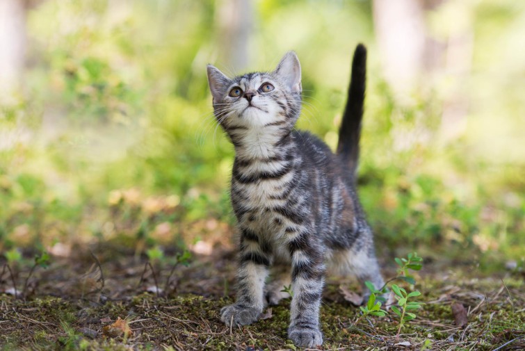 13570312_511364272382229_2117383676_o